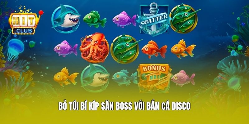 Bỏ túi bí kíp săn boss với bắn cá Disco