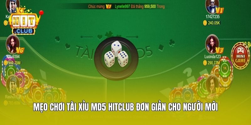 Mẹo chơi Tài Xỉu MD5 Hitclub đơn giản cho người mới