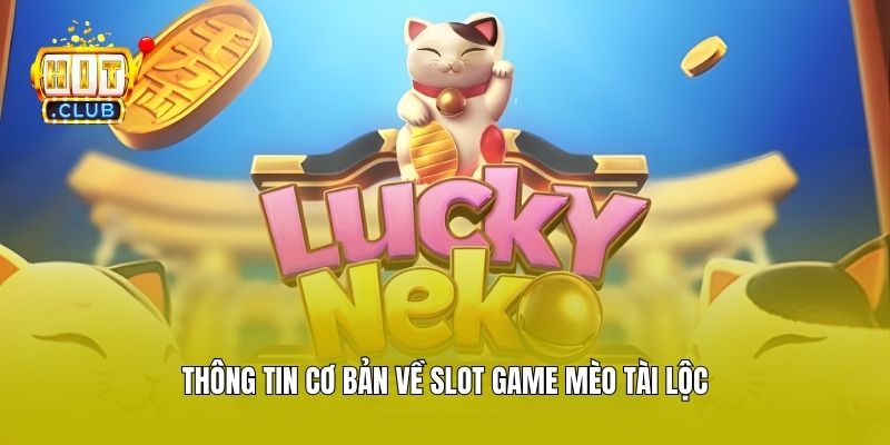 Thông tin cơ bản về slot game mèo tài lộc